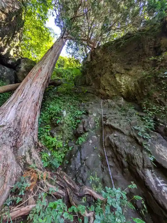 妙義神社 奥の院の自然