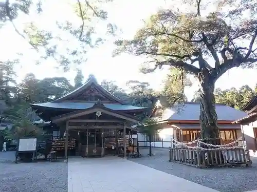 井伊谷宮の本殿・本堂