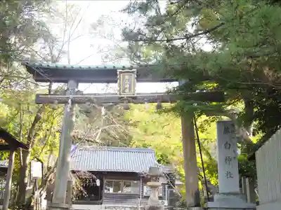藤白神社(和歌山県)