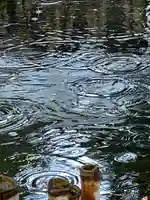 白鳥神社(長野県)