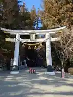 宝登山神社(埼玉県)