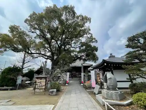 一宮寺(香川県)