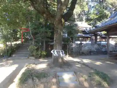 香良須神社(愛知県)