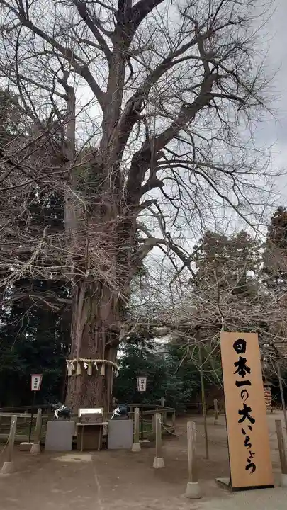 水戸八幡宮(茨城県)