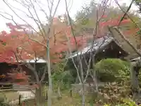 浄光明寺の自然