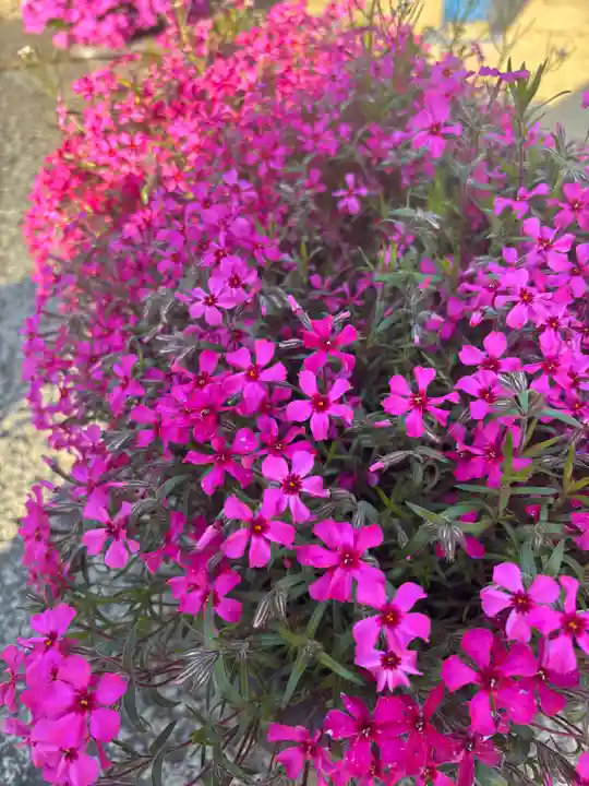 大年神社(兵庫県)