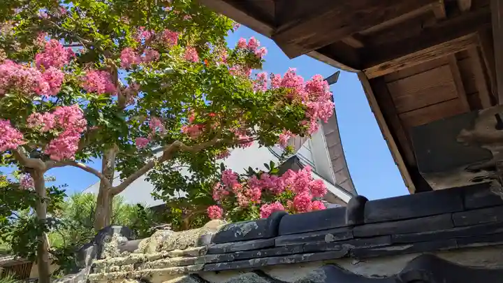 萬福寺(万福寺)(京都府)