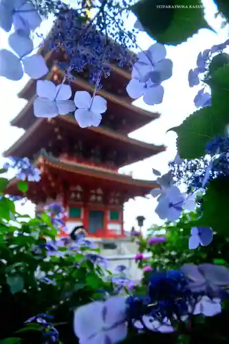 高幡不動尊　金剛寺(東京都)