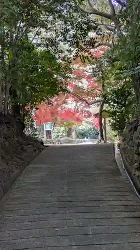 勝持寺（花の寺）(京都府)