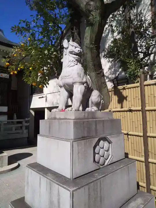 鳥越神社の狛犬