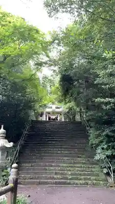 国造神社(熊本県)