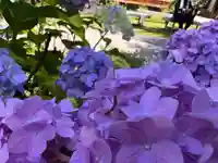 秩父札所十三番 慈眼寺(埼玉県)