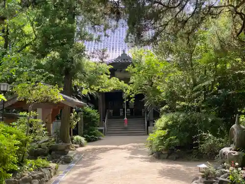 浄瑠璃寺(愛媛県)