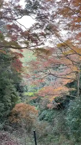 笠置寺(京都府)