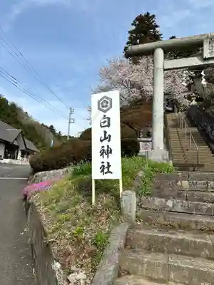 白山神社(東京都)