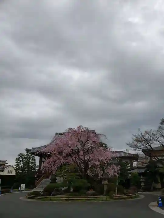 最勝寺(東京都)