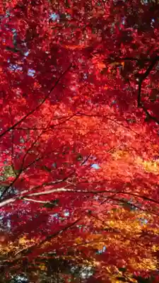 葛城一言主神社(奈良県)