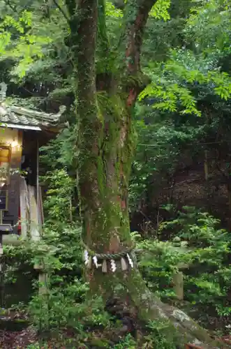 吉川八幡神社(大阪府)