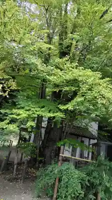 梨木神社(京都府)