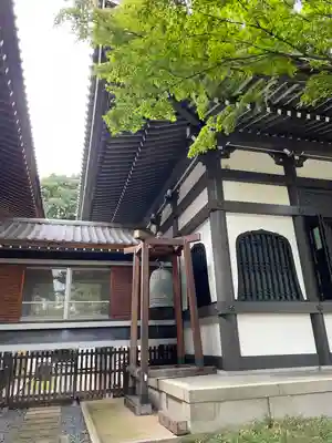青松寺(東京都)