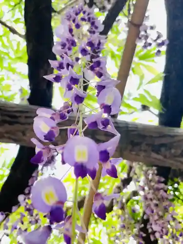 行興寺(静岡県)