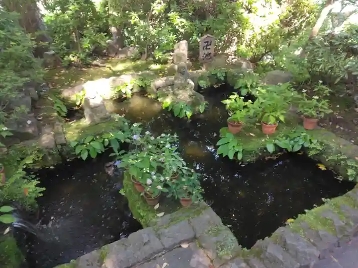 長谷寺(神奈川県)