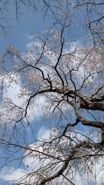 惠心院(京都府)