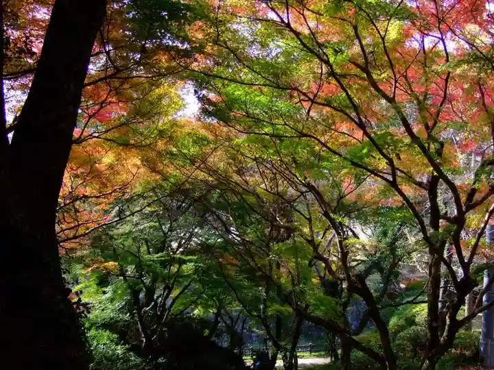 添田神社(福岡県)