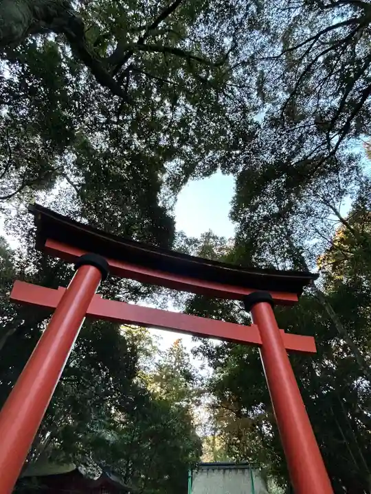 宇佐神宮の鳥居