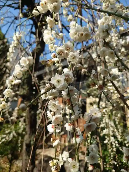 明王院(東京都)