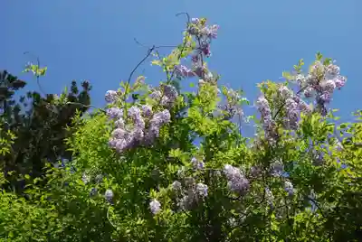 赤城神社(三夜沢町)(群馬県)