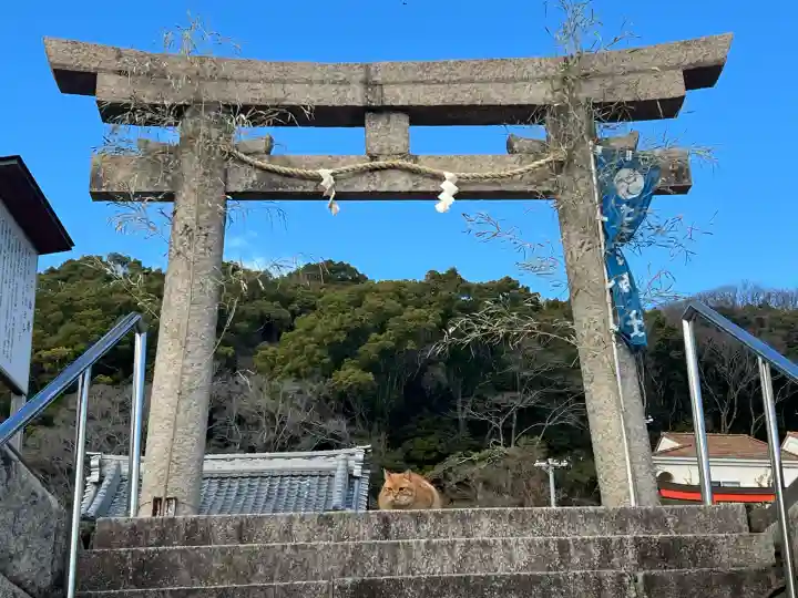 五宮神社の{uncategorized: "未分類", other: "その他", undefined: "問題あり", building: "その他建物", grave: "お墓", sacred_gate: "鳥居", guardian: "狛犬", statue: "像", buddha: "仏像", history: "歴史", nature: "自然", garden: "庭園", animal: "動物", pagoda: "塔", temizu: "手水舎", mountain_gate: "山門・神門", sanctuary: "本殿・本堂", subordinate: "末社・摂社", art: "芸術", scenery: "景色", jizo: "地蔵", ema: "絵馬", goshuin: "御朱印", omikuji: "おみくじ", items: "授与品その他", amulet: "お守り", goshuincho: "御朱印帳", eats: "食事", festival: "お祭り", votive_dance: "神楽", shichigosan: "七五三参", wedding: "結婚式", experience: "体験その他", initially: "初詣", around: "周辺", anti_infection: "感染症対策"}