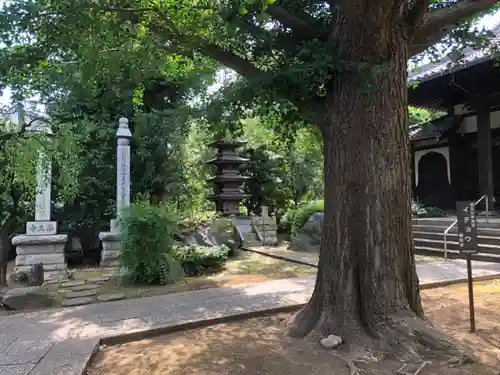 薬王寺の自然