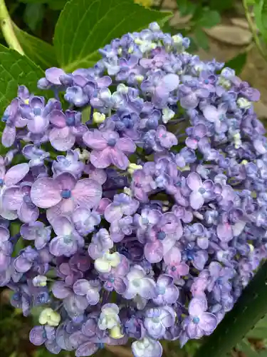 石都々古和気神社(福島県)