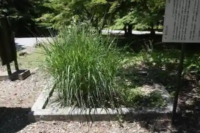 井伊神社(滋賀県)