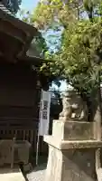 阿邪訶根神社の狛犬