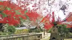 観音寺（山崎聖天）の庭園