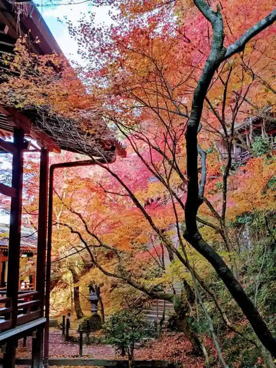 禅林寺(永観堂)(京都府)