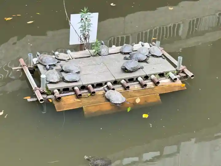 鹿籠神社の{uncategorized: "未分類", other: "その他", undefined: "問題あり", building: "その他建物", grave: "お墓", sacred_gate: "鳥居", guardian: "狛犬", statue: "像", buddha: "仏像", history: "歴史", nature: "自然", garden: "庭園", animal: "動物", pagoda: "塔", temizu: "手水舎", mountain_gate: "山門・神門", sanctuary: "本殿・本堂", subordinate: "末社・摂社", art: "芸術", scenery: "景色", jizo: "地蔵", ema: "絵馬", goshuin: "御朱印", omikuji: "おみくじ", items: "授与品その他", amulet: "お守り", goshuincho: "御朱印帳", eats: "食事", festival: "お祭り", votive_dance: "神楽", shichigosan: "七五三参", wedding: "結婚式", experience: "体験その他", initially: "初詣", around: "周辺", anti_infection: "感染症対策"}