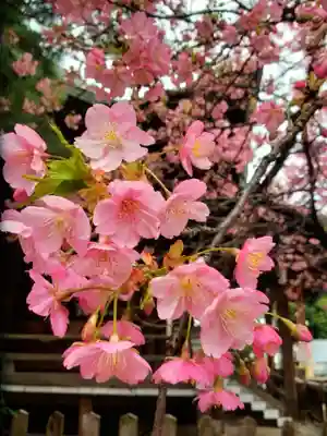 新宿下落合氷川神社(東京都)