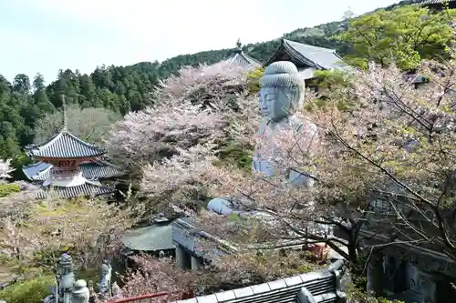 南法華寺（壷阪寺）(奈良県)