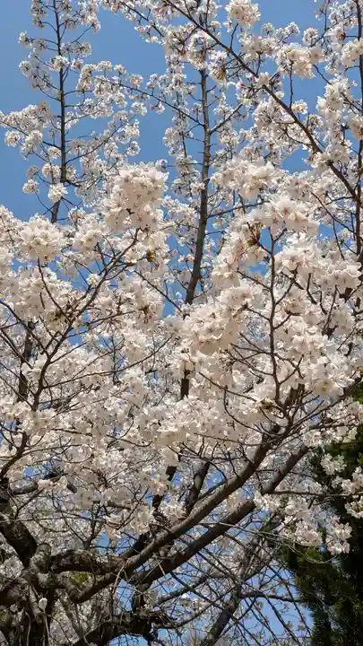 向日神社(京都府)