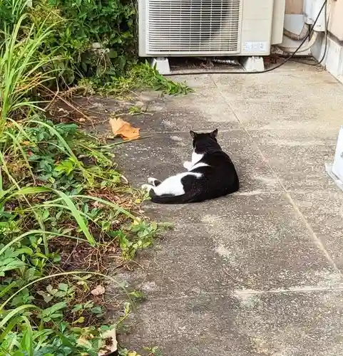 白金氷川神社の動物