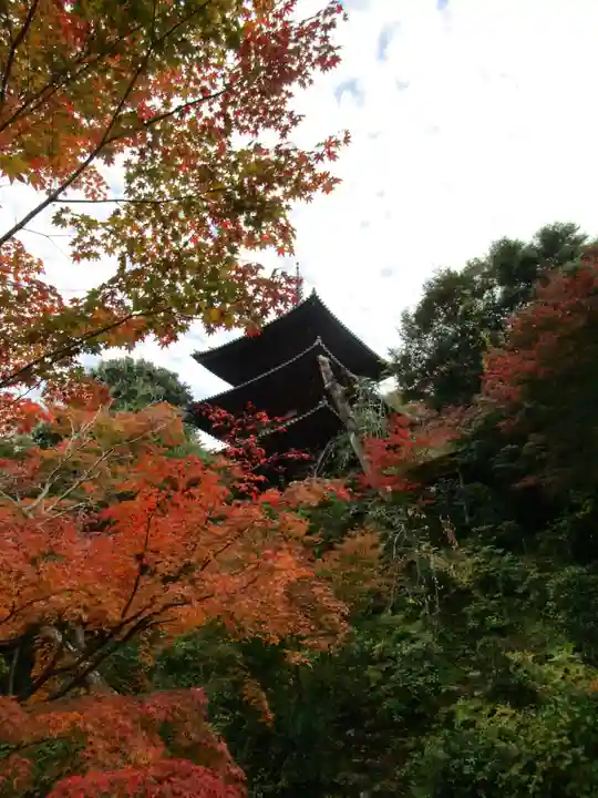 當麻寺中之坊(奈良県)