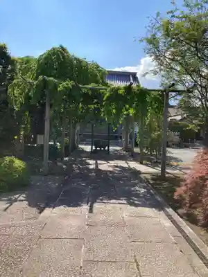 西光院（浄楽寺）(栃木県)