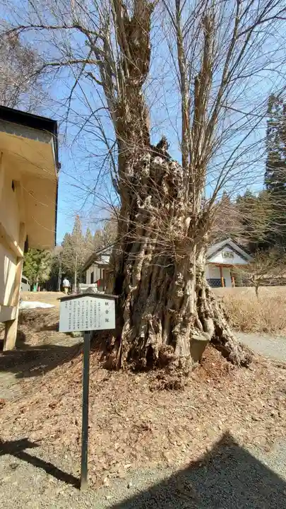 天台寺(岩手県)