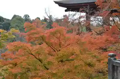 清水寺(京都府)