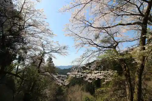 天龍寺(埼玉県)