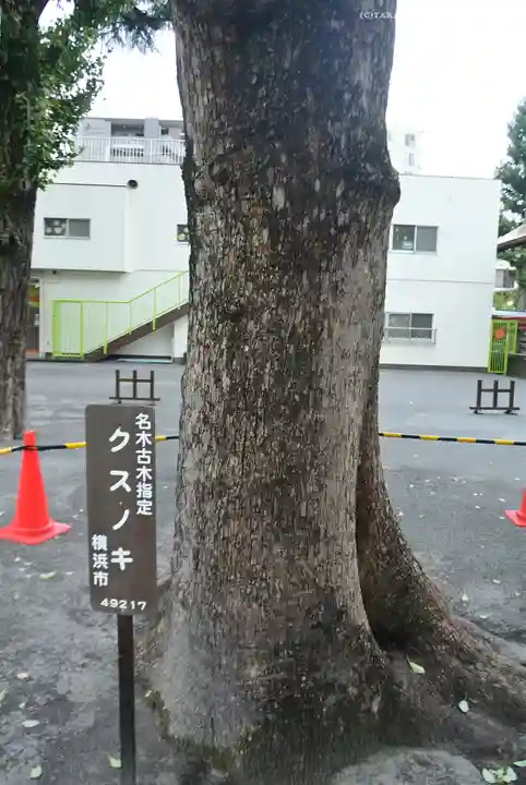 お三の宮日枝神社(神奈川県)