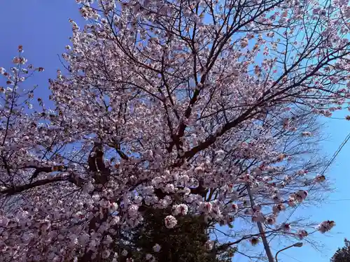大麻神社(北海道)